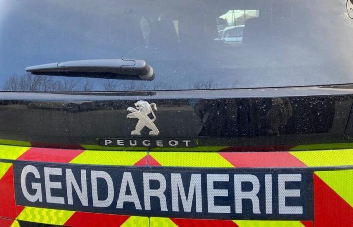 Junger Mann vor Nachtclub in Marne getötet: Drei Personen in Polizeigewahrsam genommen