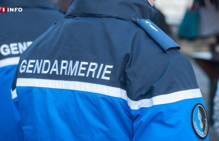 Marne: Drei Personen in Polizeigewahrsam nach der Ermordung eines jungen Mannes vor einem Nachtclub