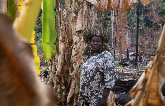 traditionelle Praktiken zur Unterstützung der Landwirtschaft