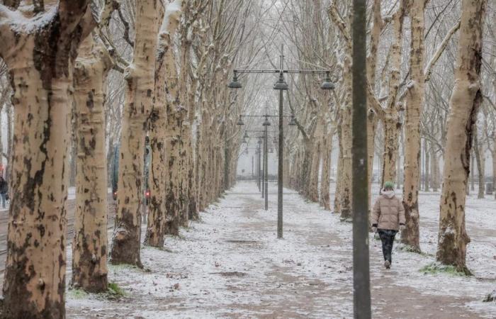 Nach einem „Polarluftabstieg“ ab Sonntag startet der Winter nächste Woche eine Offensive in Frankreich