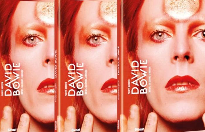 Gewinnen Sie das Buch „David Bowie, der Künstler, die Alben, die Musik“