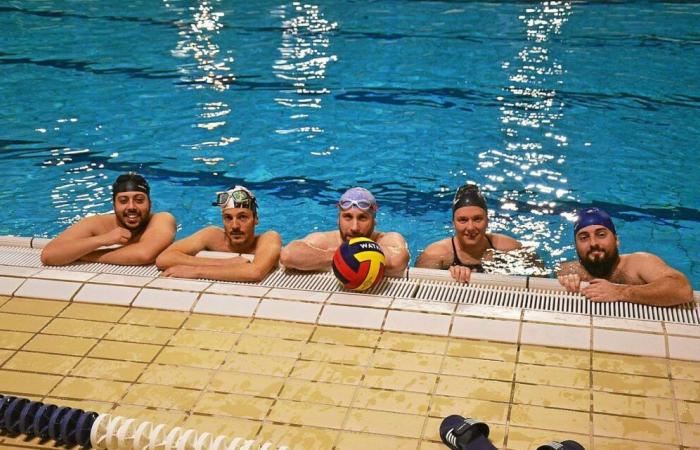 „Wir sind hart getroffen, aber wir kommen zurück, um zu spielen“: Der einzige Wasserballclub in Côtes-d’Armor eröffnet sein Geschäft bei Aquatides in Loudéac