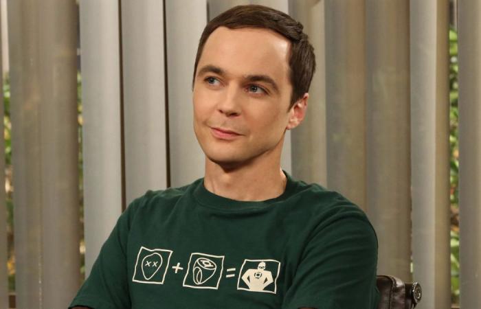 Stammen diese 5 Charaktere aus Friends oder The Big Bang Theory?