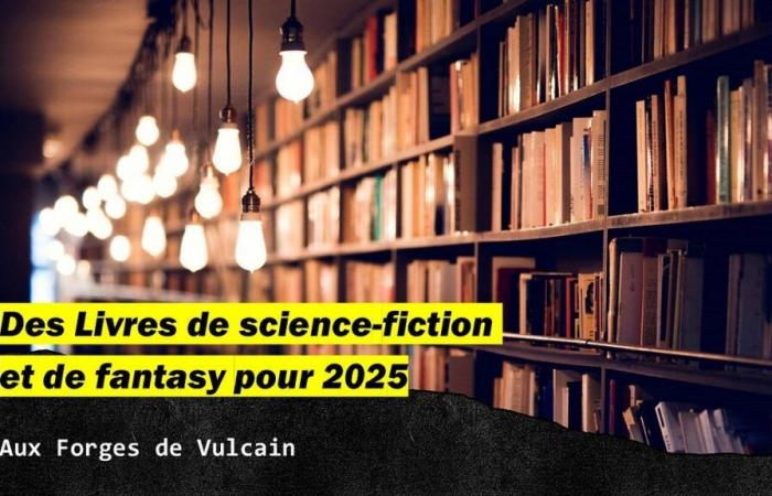 Science-Fiction- und Fantasy-Bücher für 2025: In den Schmieden von Vulcain | von Nicolas Winter | Dez. 2024