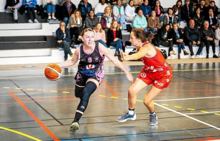 NF3: „Wir dominieren unser Thema und werden im Finale überholt!“ » Die Geschichte wiederholt sich für ESL Brest