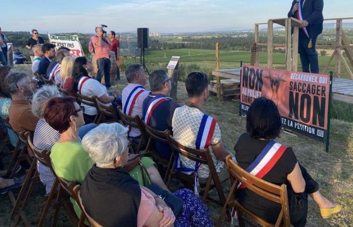 Höchstspannungsleitungsprojekt zwischen Gard und Bouches-du-Rhône: Der Widerstand lässt nicht nach