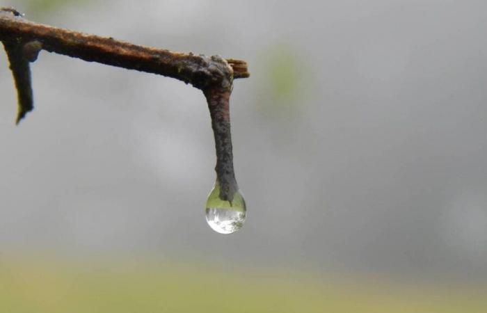 Wie wird das Wetter am Montag, 9. Dezember 2024, in Carentan-les-Marais und Umgebung erwartet?