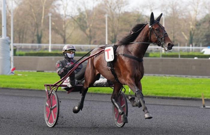 Masaf Breeders’ Grand Prix (Gr. I): Ginostrabliggi mit der Nr. 3