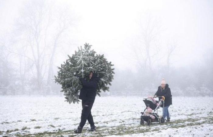 Bekommen wir zum ersten Mal seit 14 Jahren wieder weiße Weihnachten?