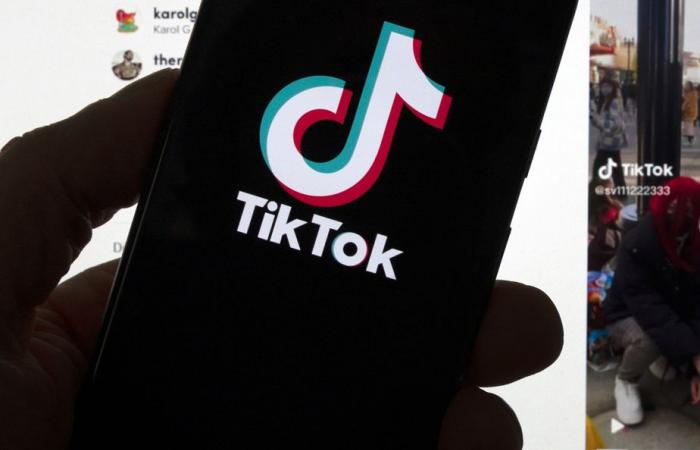 TikTok ficht Ottawas Anordnung an, den Betrieb in Kanada einzustellen