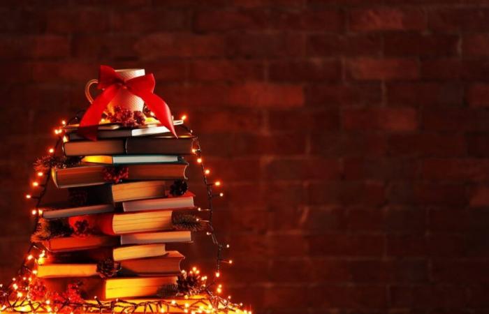 An diesem Samstag findet in Bordeaux zu Weihnachten eine riesige Verteilung kostenloser Bücher statt!