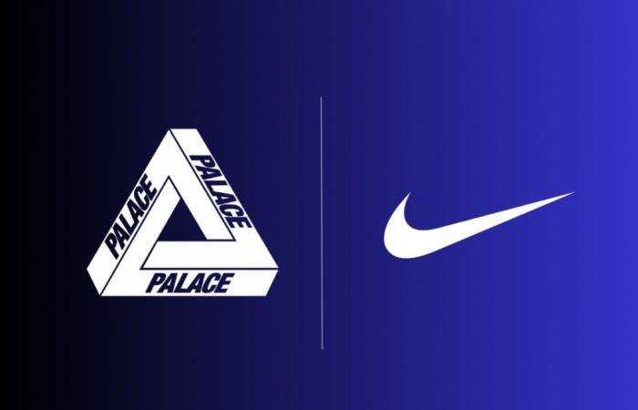 Palace Nike Air Max DN8 erscheint im Jahr 2025