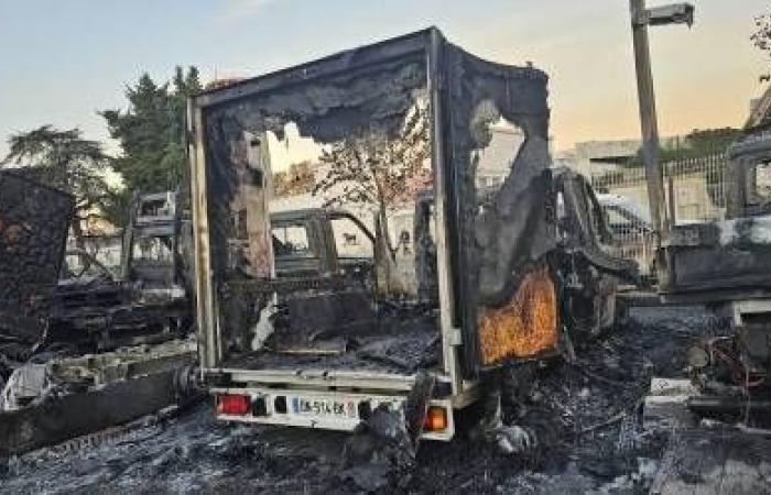 Eine „phänomenale“ Welle der Solidarität zur Unterstützung der Gard Food Bank