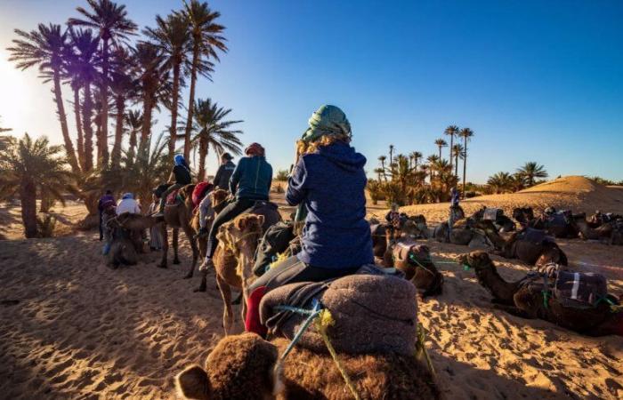 Marokko bricht im Jahr 2024 alle Touristenrekorde