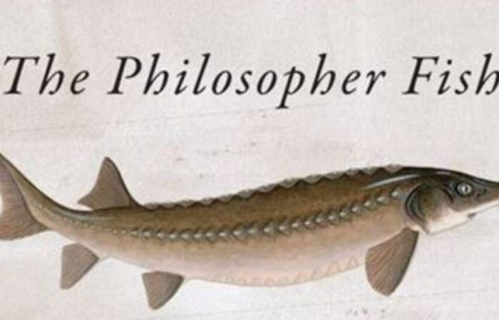 „The Philosopher’s Fish“ wurde im Vereinigten Königreich zum seltsamsten Buch des Jahres gewählt – Libération