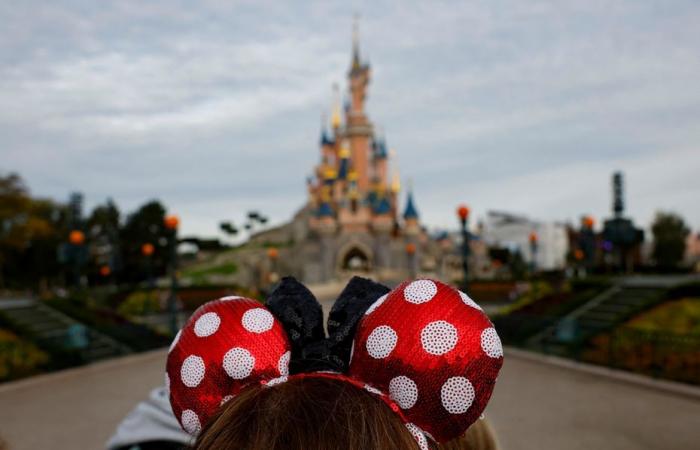 Zwischen vorgetäuschtem Kindstod und gefälschten Eintrittskarten für Disneyland erstatten betrogene Opfer Anzeige