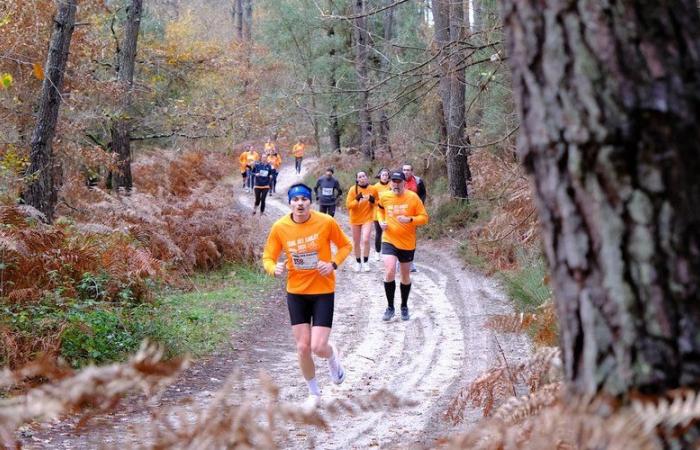 Mehr als 700 Teilnehmer am Trail des Sables de Cauderoue