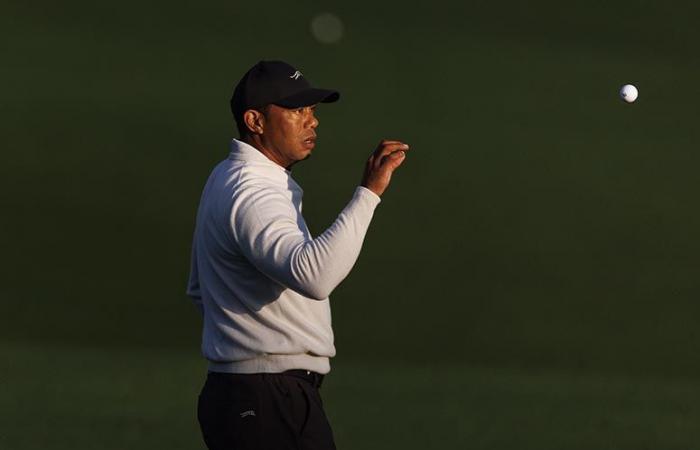 Tiger Woods zurück auf den Fairways!