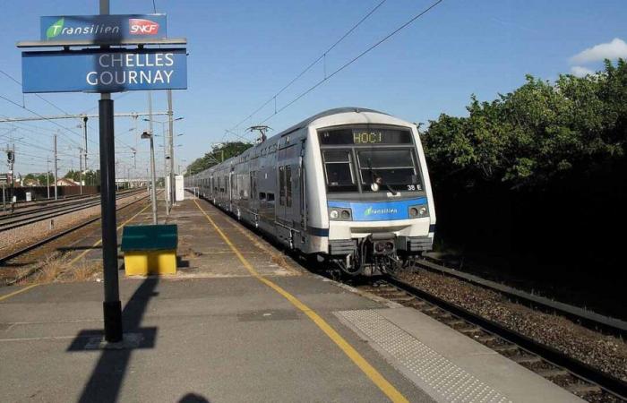 RER E: ein komplettes Transportangebot für Benutzer von Seine-et-Marne