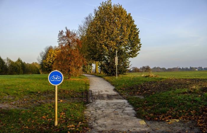 Was ist véLo228, der Verein, der rechtliche Schritte einleitet, um das Radfahren in Gemeinden voranzutreiben?