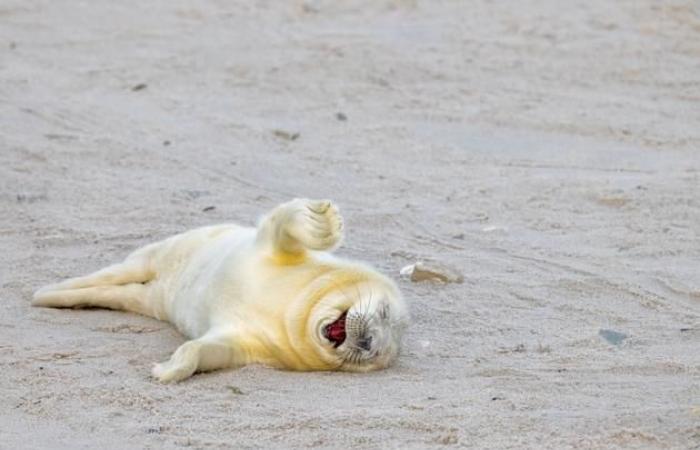 Unsere Auswahl der schönsten Tierfotos