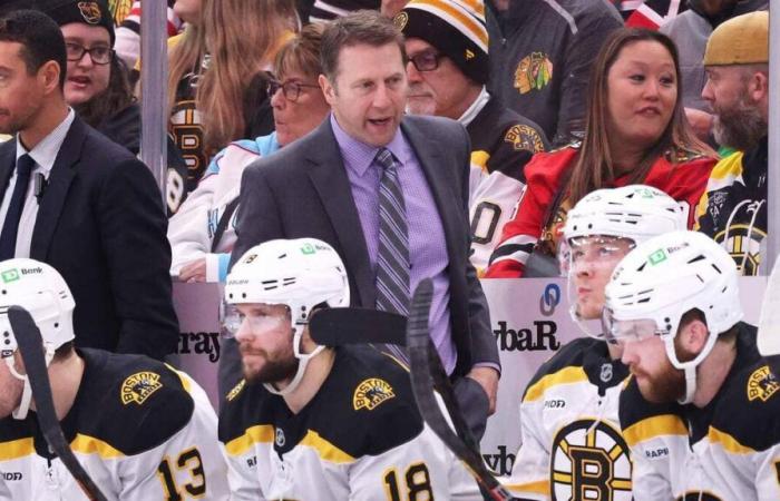 Kampf mit den Bruins: Nach Angaben der Jets ein Vorfall, der dem Eishockey schadet