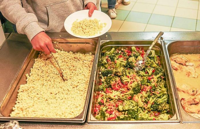 Tote Mehlwürmer in Gerichten gefunden, die im College Pays des Abers in Lannilis serviert werden