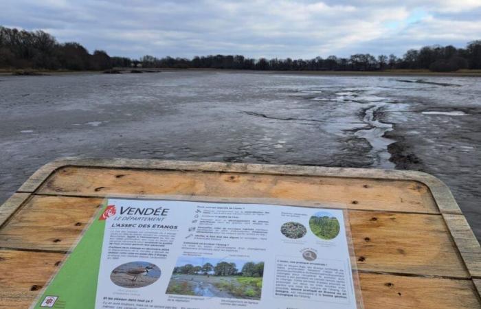 IN BILDERN – In der Vendée erfährt die Stadt der Vögel ein neues Gesicht