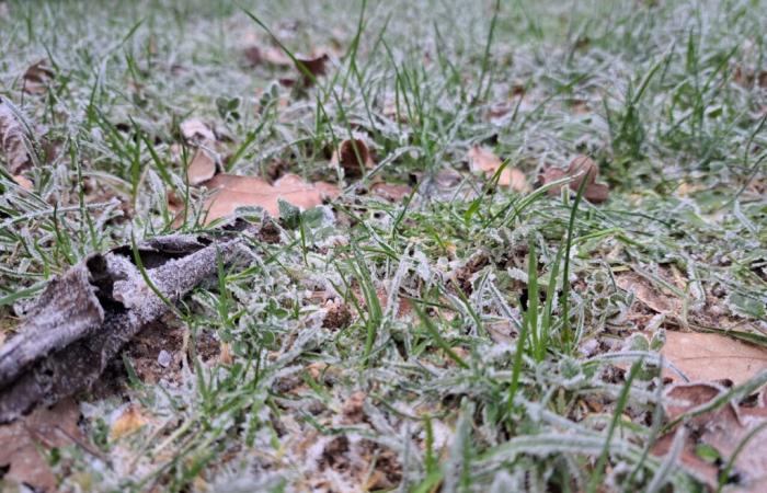 Die Kälte dringt Ende der Woche in Frankreich ein. Wie lange wird sie anhalten?