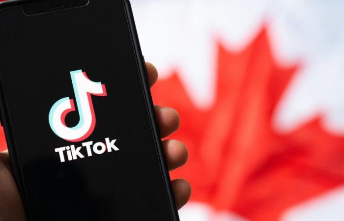 TikTok kündigt rechtliche Anfechtung der kanadischen Abschaltanordnung an