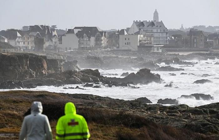 Loire-Atlantique: Ein Passant stürzt sich ins Wasser und rettet einen Fünfzigjährigen, der gerade in Le Croisic gestürzt war