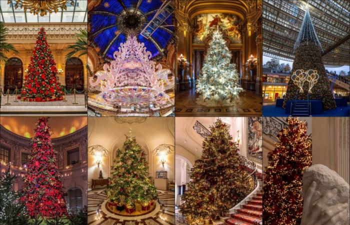 Top 14 der schönsten Weihnachtsbäume in Paris 2024: Genug, um Ihnen Glitzer in die Augen zu zaubern