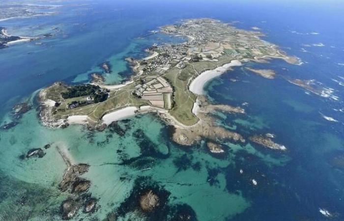 Buch. In einem Roman erzählt Guénaëlle Daujon die Geschichte des Schöpfers des Gartens auf der Insel