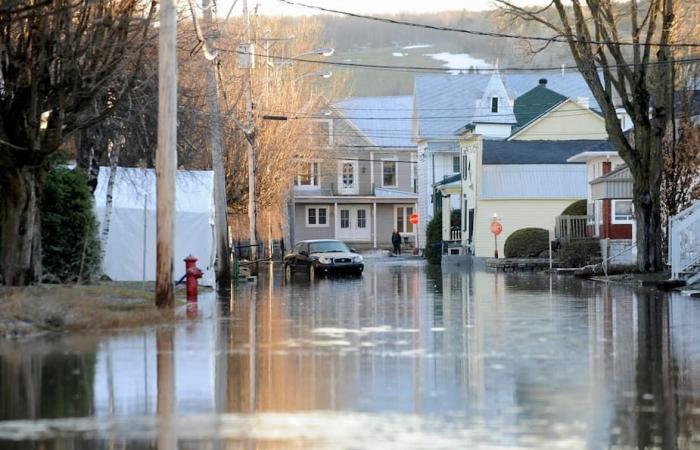 Guillaume Lemay-Thivierge, Überschwemmungen, OD Mexiko: Hier ist, wonach Quebecer im Jahr 2024 am häufigsten auf Google gesucht haben