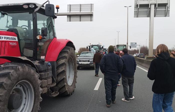 Bauern aus Pas-de-Calais blockieren die Autobahn A16