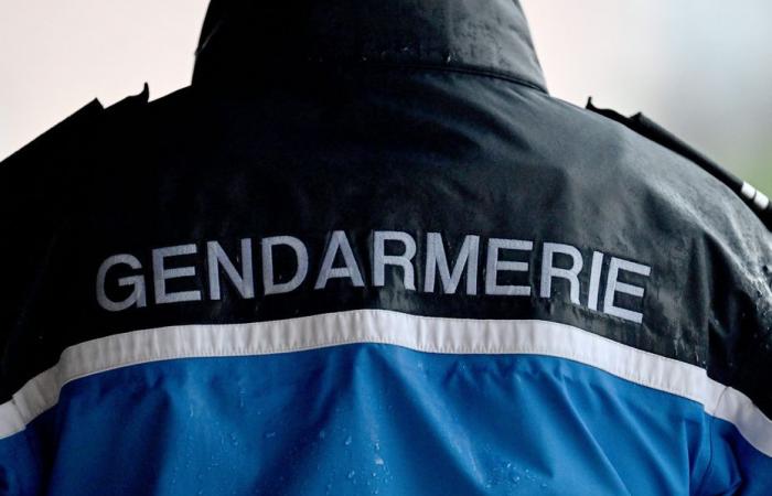 Ein Team „erfahrener Krimineller“ wurde in den Ardennen festgenommen