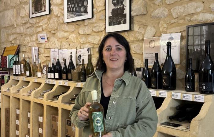 Gard Gourmand: Das Porträt der Medaillengewinner Folge 4: Domaine Clavel: Weintradition und Innovation in Saint-Gervais