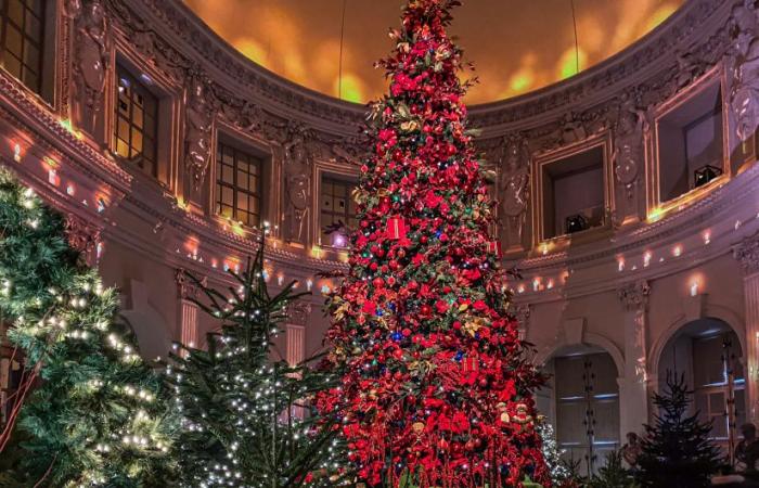 Top 14 der schönsten Weihnachtsbäume in Paris 2024: Genug, um Ihnen Glitzer in die Augen zu zaubern