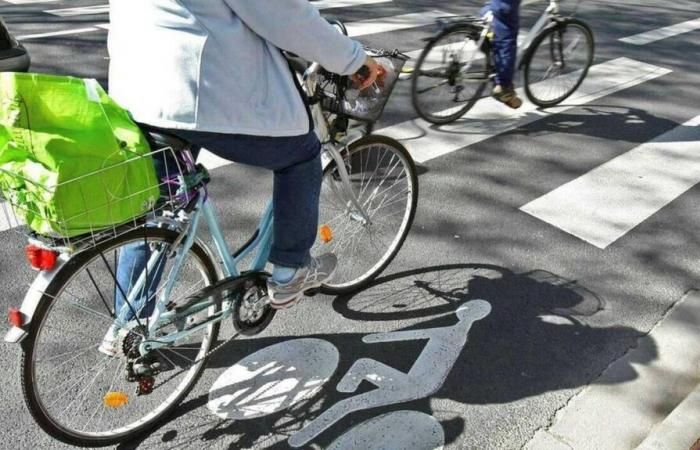 QUIZ. Wie gut kennen Sie die Fahrradverkehrsordnung?