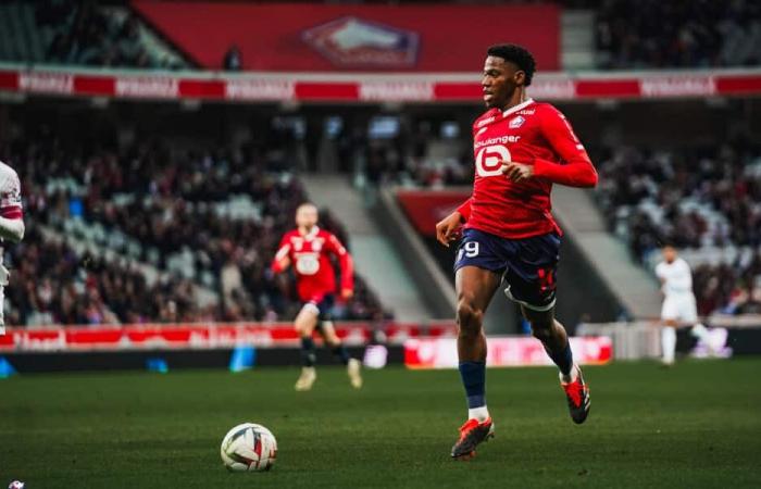 „Die Diskussionen dauern noch an“, fordern LOSC-Anhänger die Verlängerung von Jonathan David