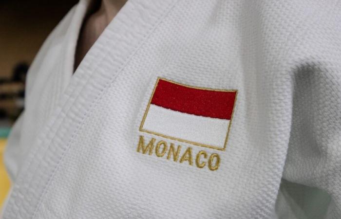 Die Ukraine gewinnt Gold beim 29. Internationalen Judo-Turnier in Monaco