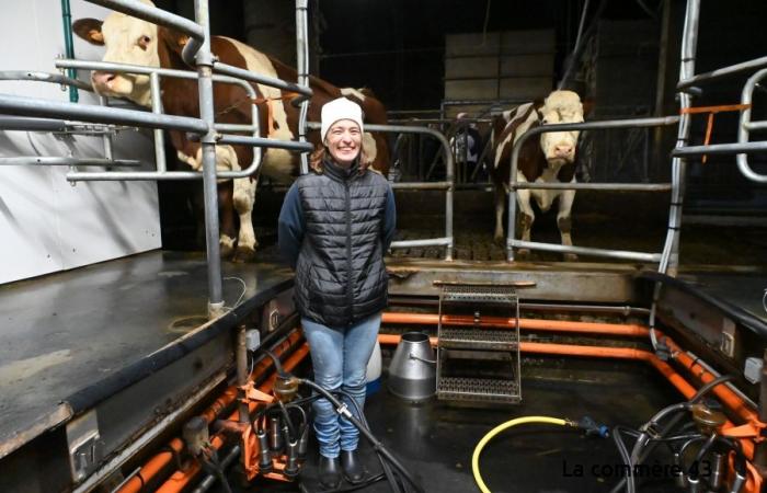 Sechsmal weniger Milcherzeuger in der Haute-Loire in vierzig Jahren