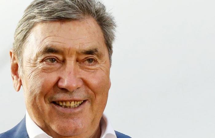 „Ich hatte Angst, ja“: „Es wäre eine Katastrophe gewesen“ – Eddy Merckx erinnert sich an seinen schrecklichen Sturz