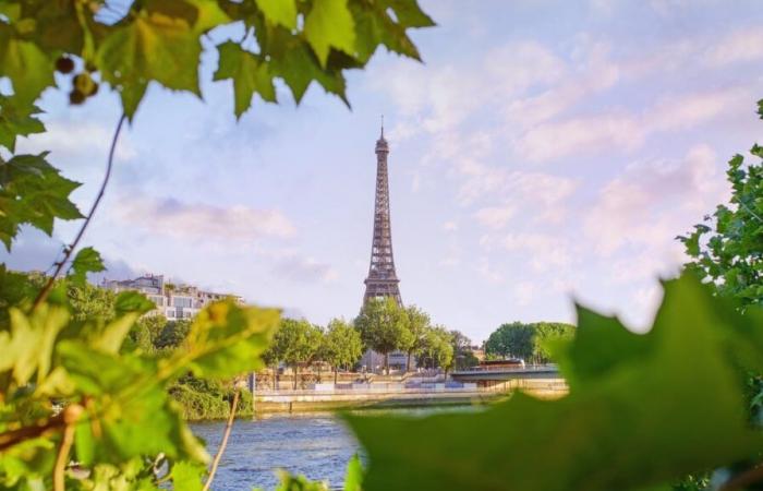 Tausende Bäume wurden diesen Winter in den Straßen von Paris gepflanzt