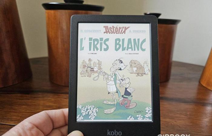 Dieser Kobo-Farb-E-Reader ist zu einem günstigen Preis für die Feiertage erhältlich, ein gutes Angebot