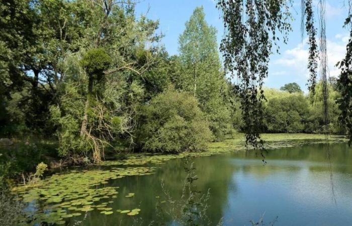 In Landes-d’Apigné geben gewählte Beamte grünes Licht für das Stadtparkprojekt