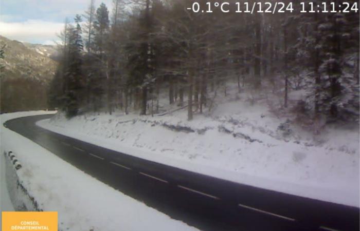 Aigoual in Weiß: Im Gard schneit es! – Nachrichten – Gard – Wetter – Schnee – Mont Aigoual – Ski