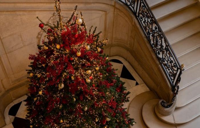 Top 14 der schönsten Weihnachtsbäume in Paris 2024: Genug, um Ihnen Glitzer in die Augen zu zaubern