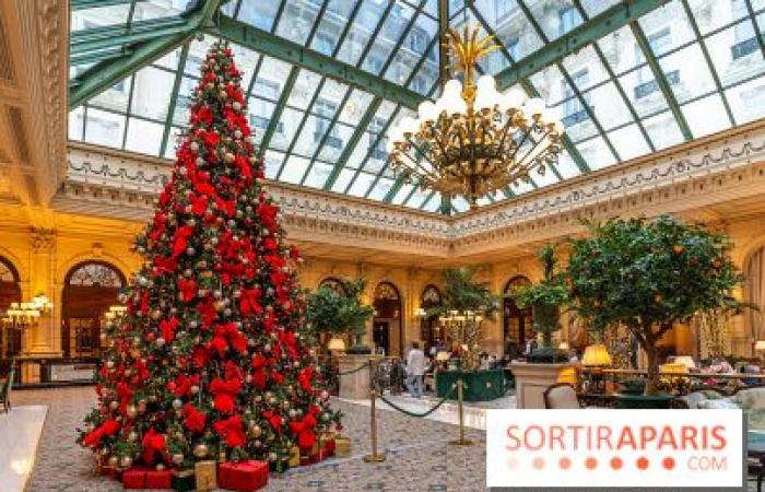 Top 14 der schönsten Weihnachtsbäume in Paris 2024: Genug, um Ihnen Glitzer in die Augen zu zaubern