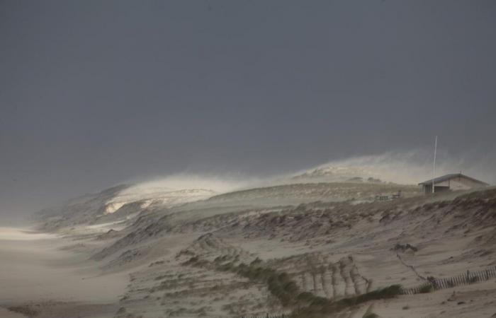 In Neu-Aquitanien ist das Médoc das am stärksten von Winderosion betroffene Gebiet